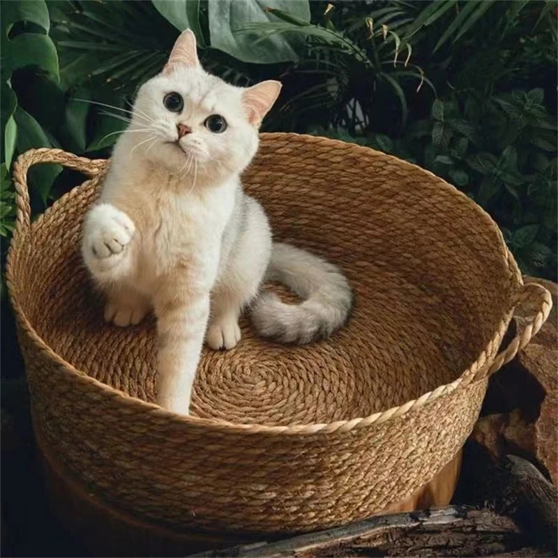 Cabin Rattan Pet Bed