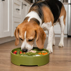 Great Outdoors Slow Feeder Dog Bowl