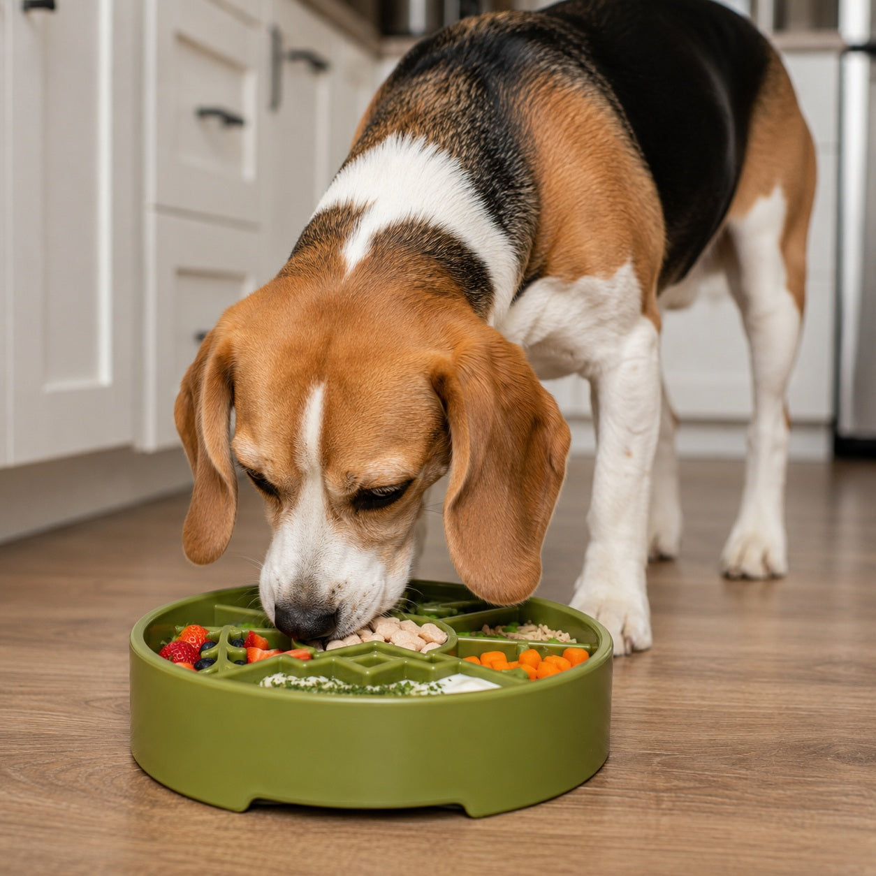Great Outdoors Slow Feeder Dog Bowl