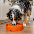 Great Outdoors Slow Feeder Dog Bowl
