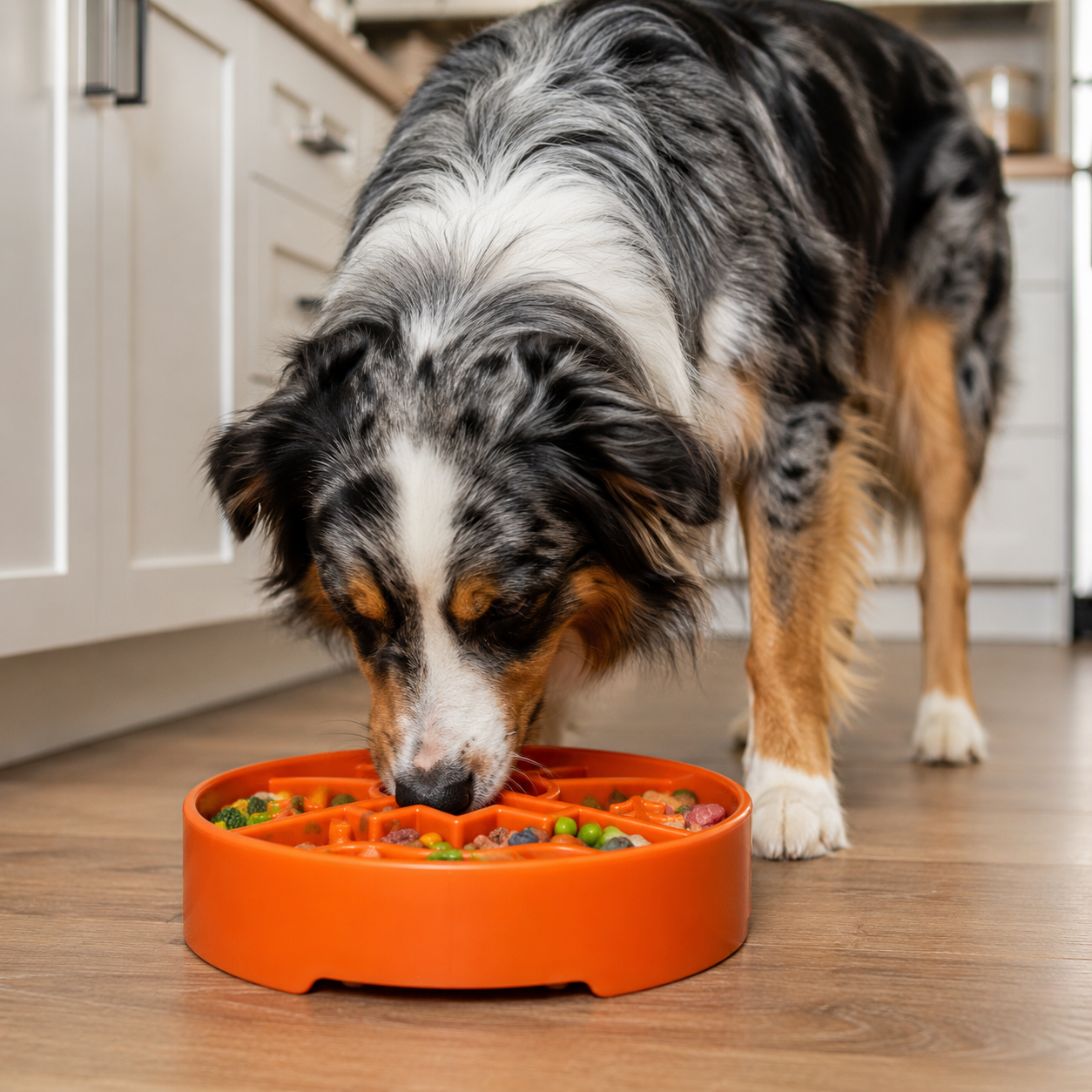 Great Outdoors Slow Feeder Dog Bowl