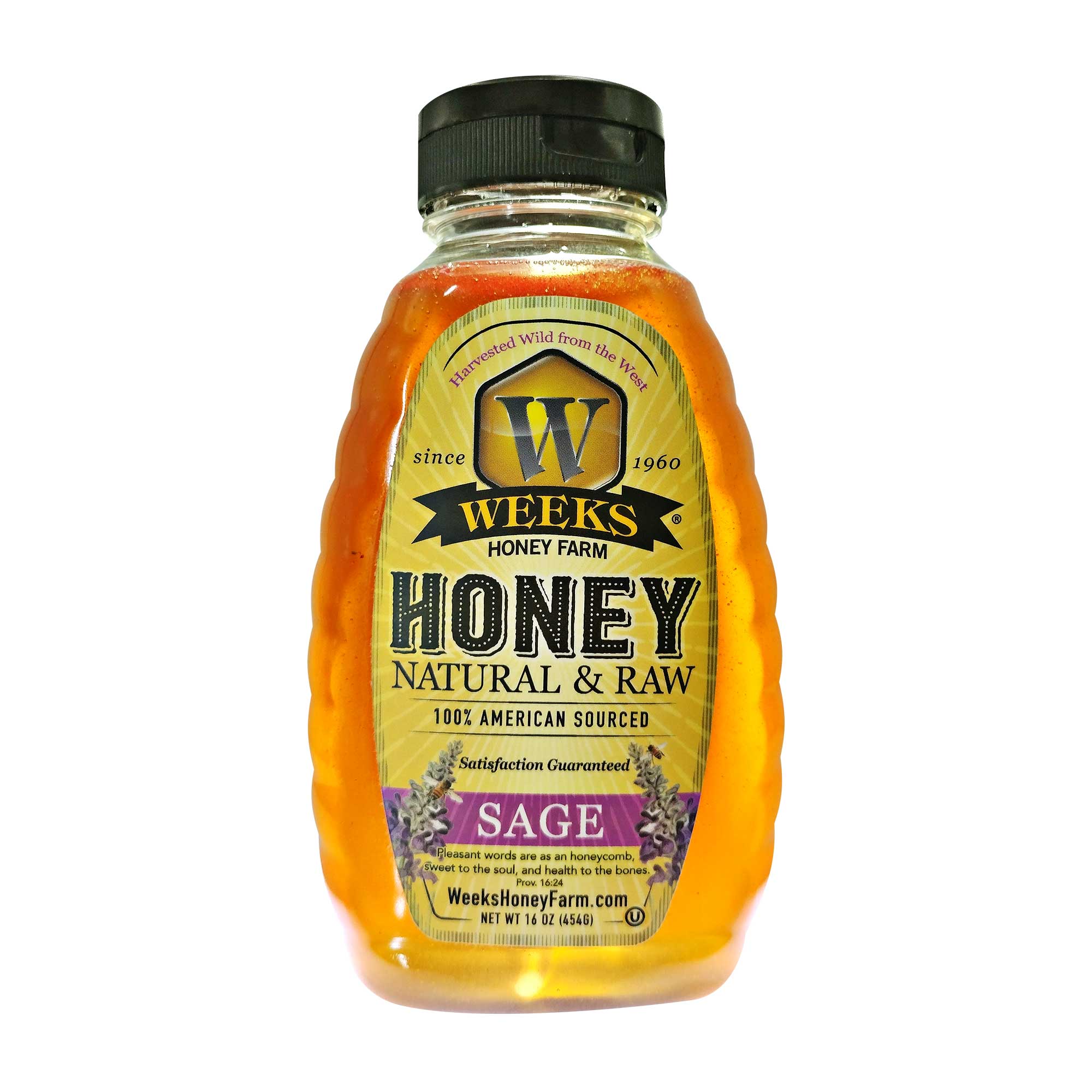 Raw Wild Sage Honey
