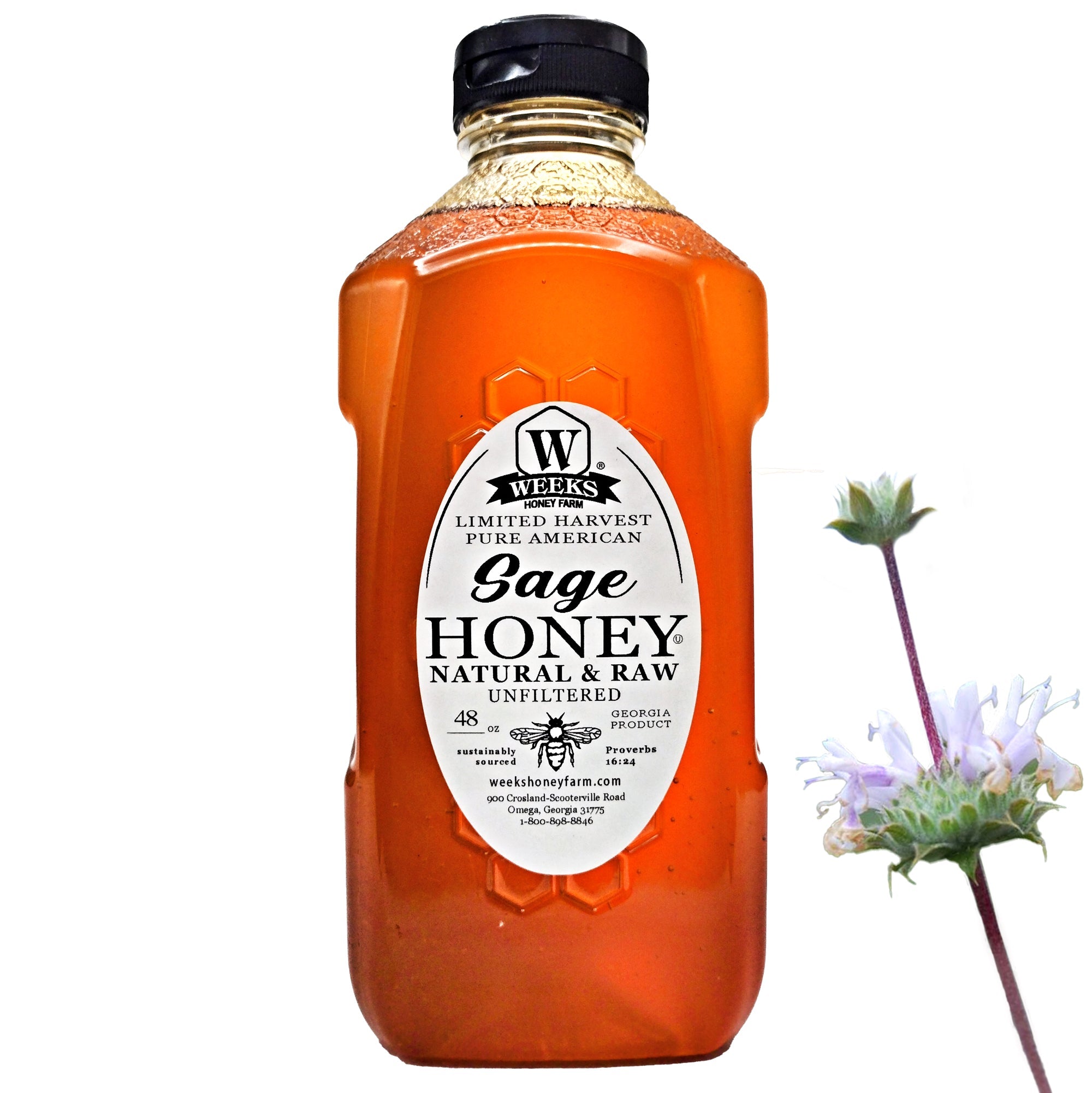 Raw Wild Sage Honey