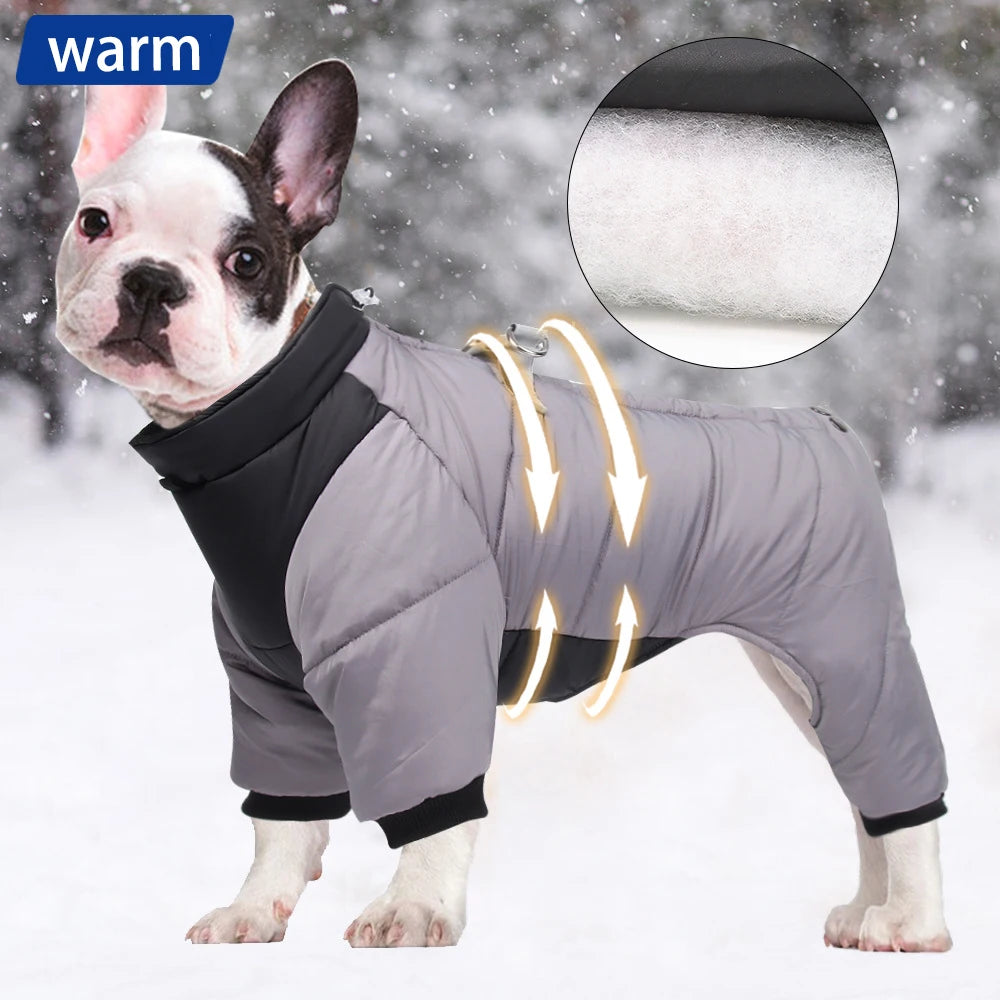 Dog Outdoor Storm Jacket
