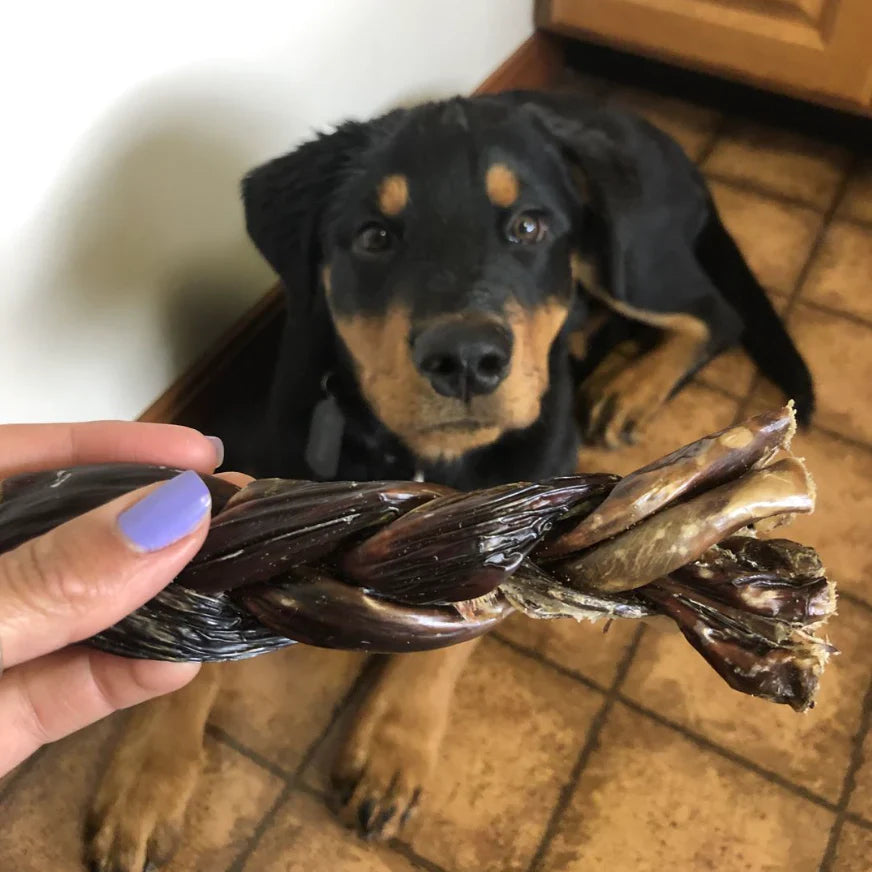 Braided Jerky Stick – 6 Inch