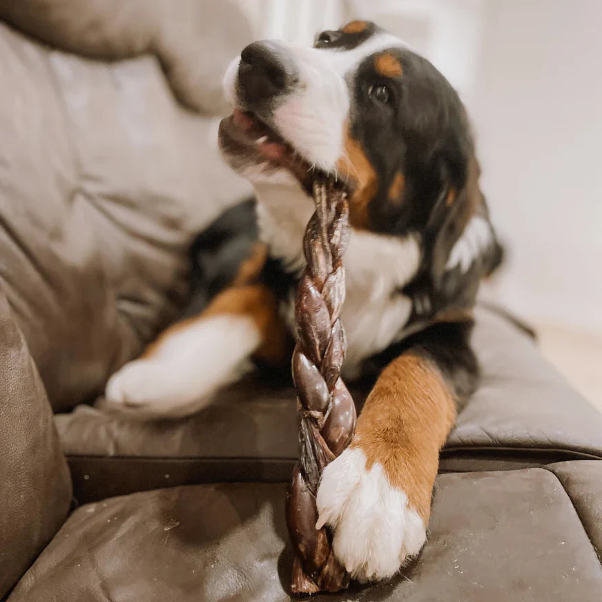 Braided Jerky Stick – 12 Inch