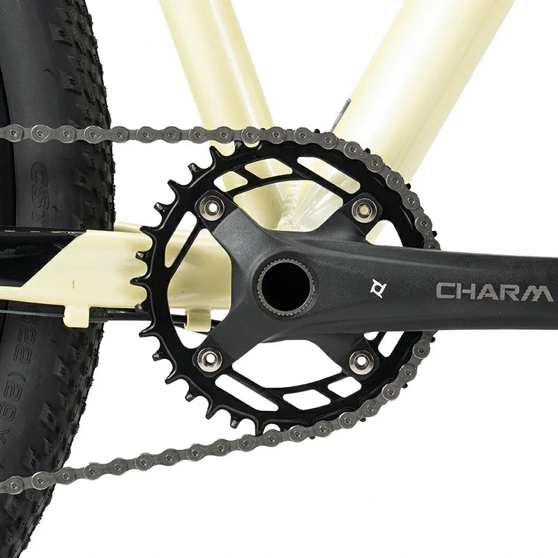 29" Hardtail Mountain Bike