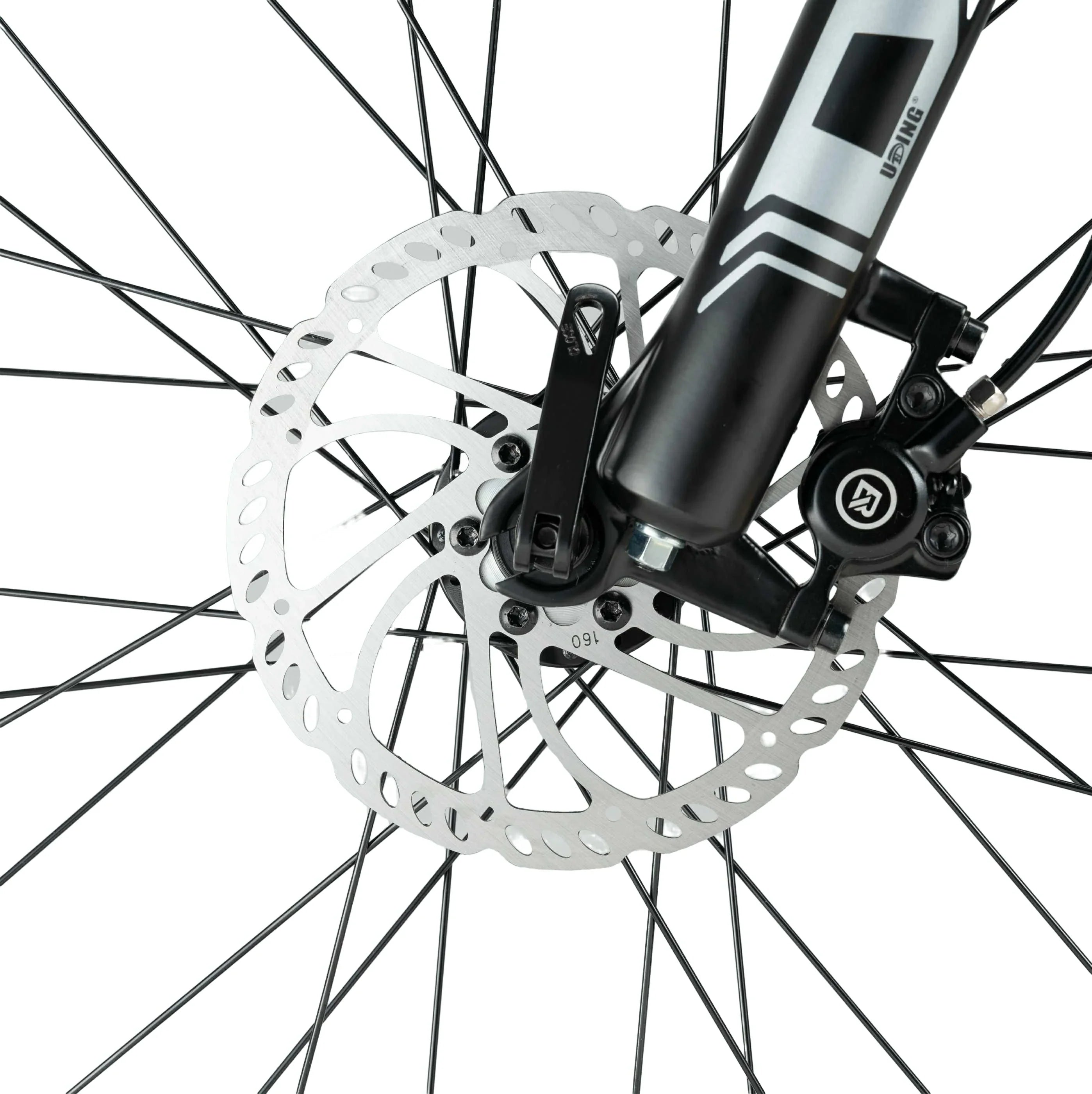 Darwin V Mountain Bike