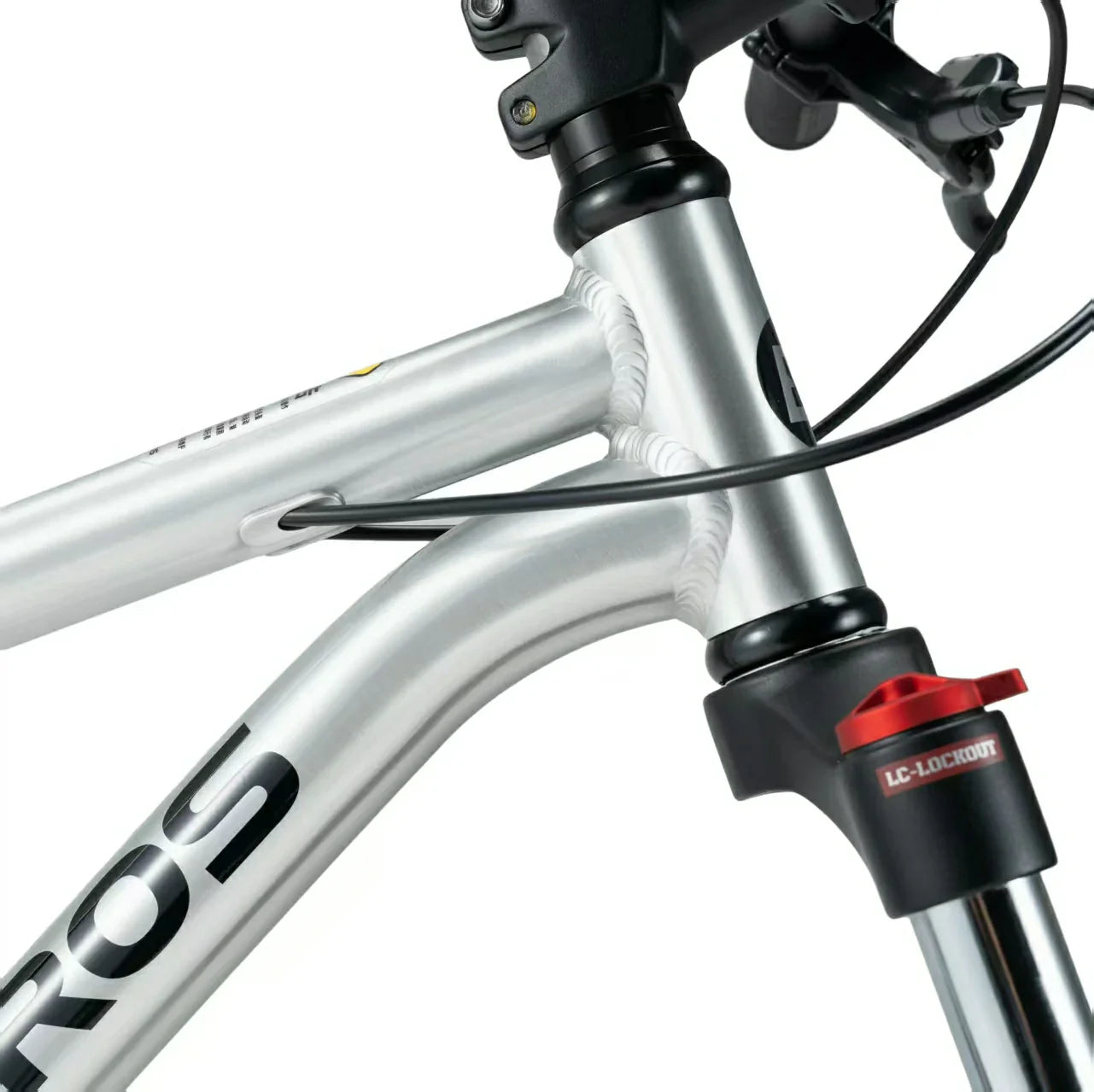 Darwin V Mountain Bike
