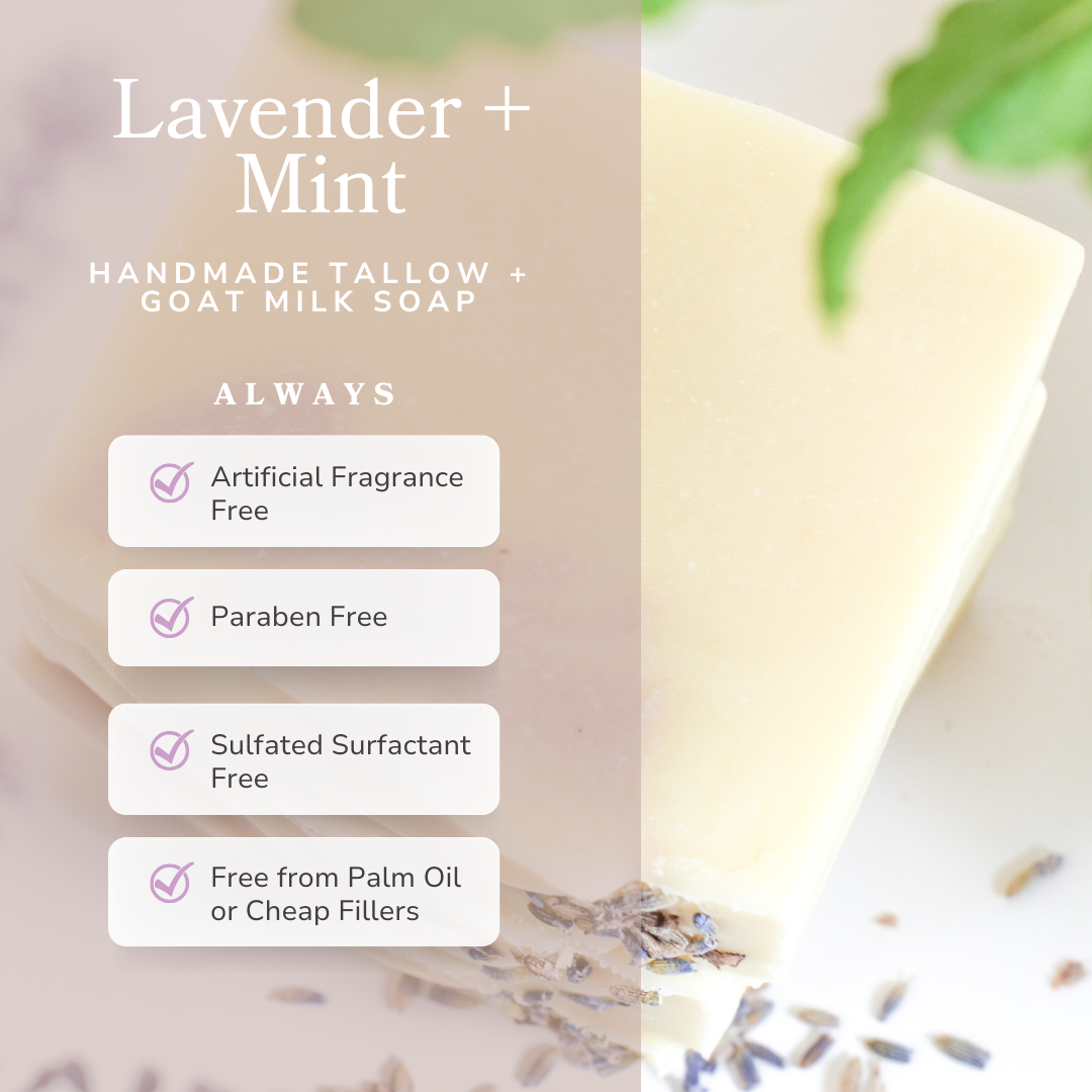Lavender + Mint Handmade Tallow & Goat Milk Soap | 4.5 oz