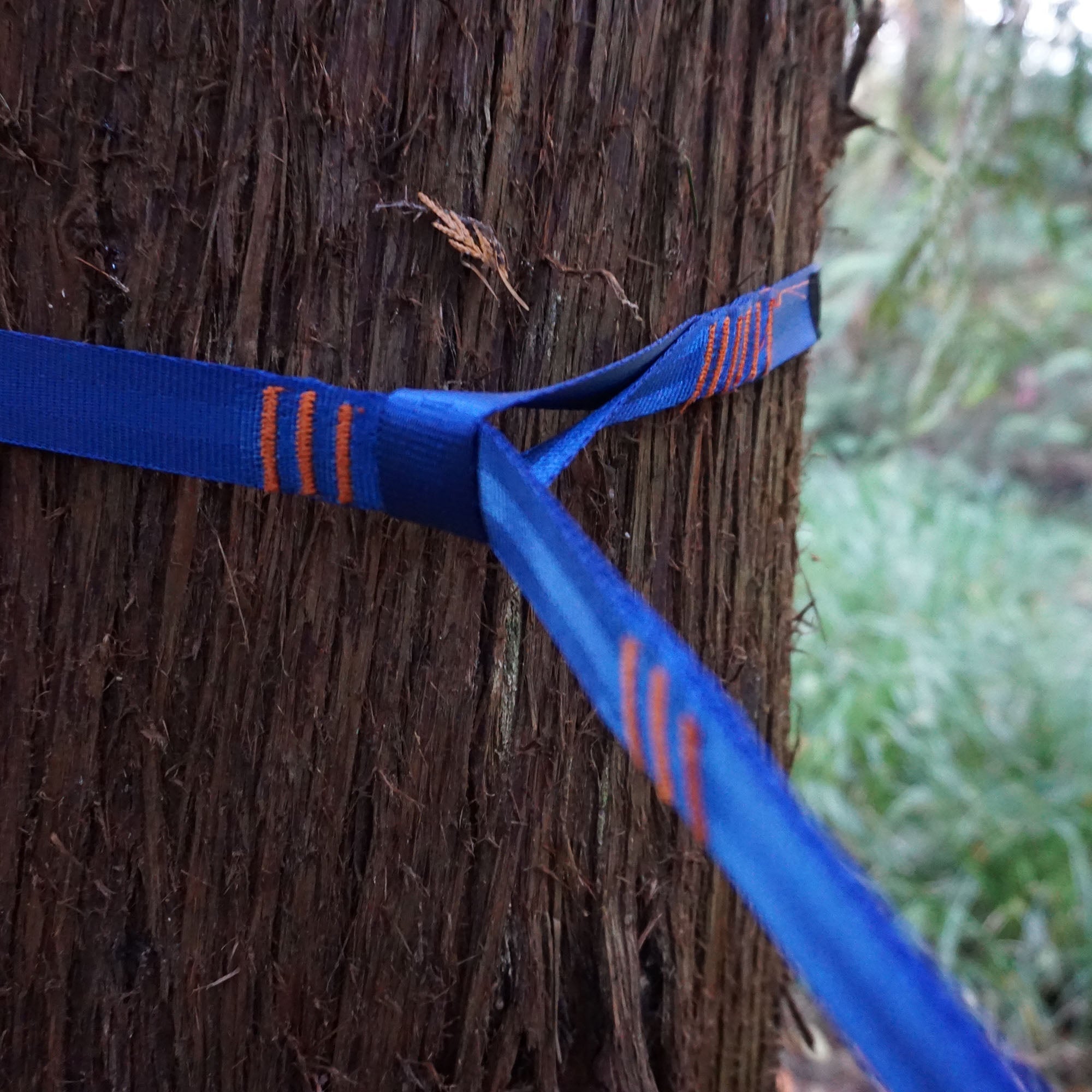 Trunk Straps Hammock Suspension Straps