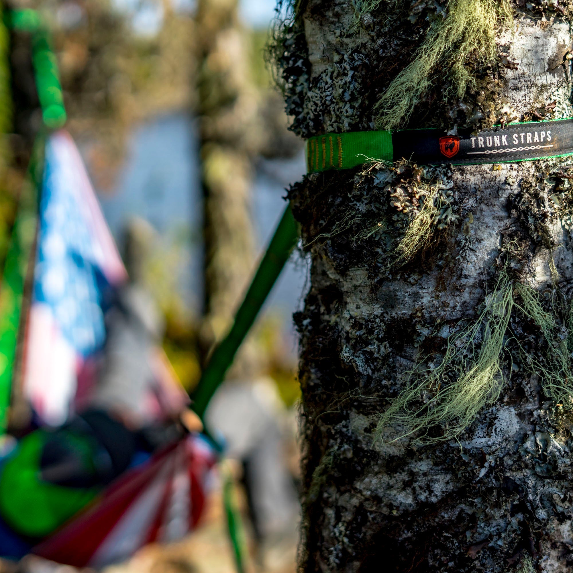 Trunk Straps Hammock Suspension Straps