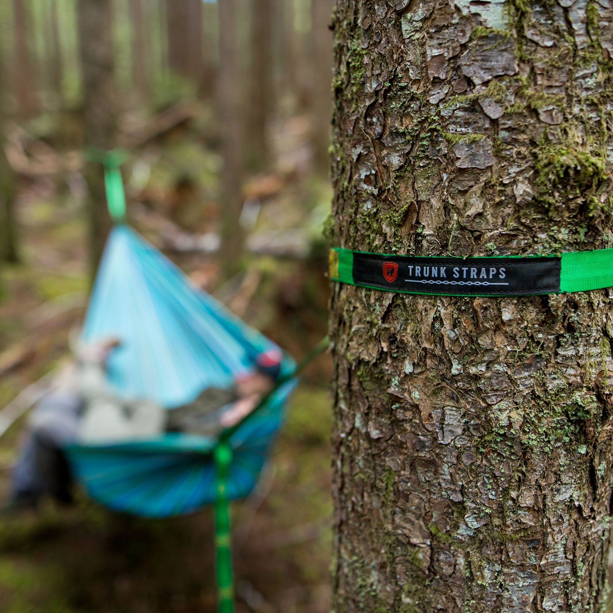 Trunk Straps Hammock Suspension Straps