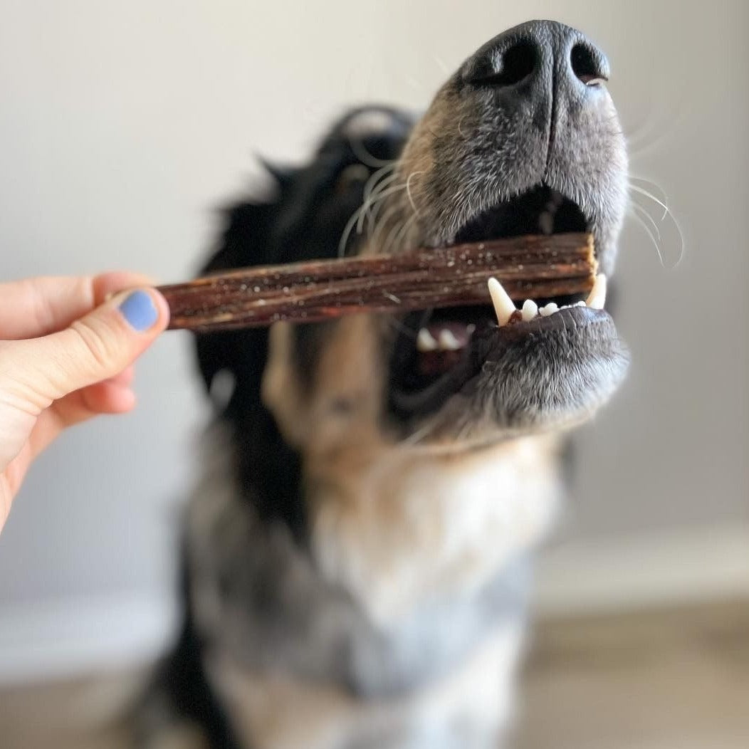 Beef Jerky Stick – 6 Inch