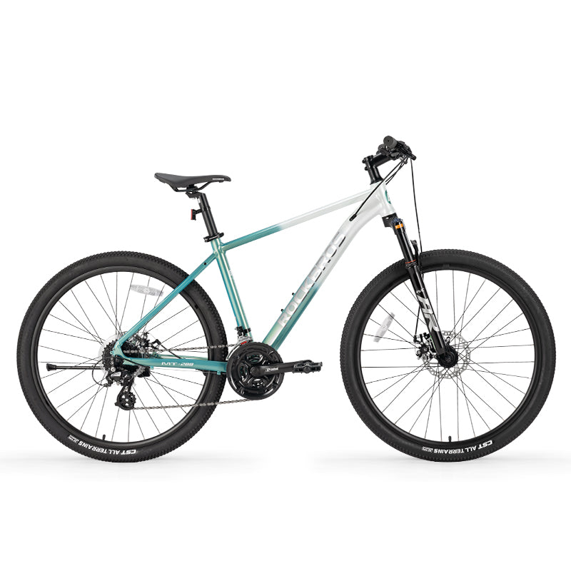 MT200 Mountain Bike