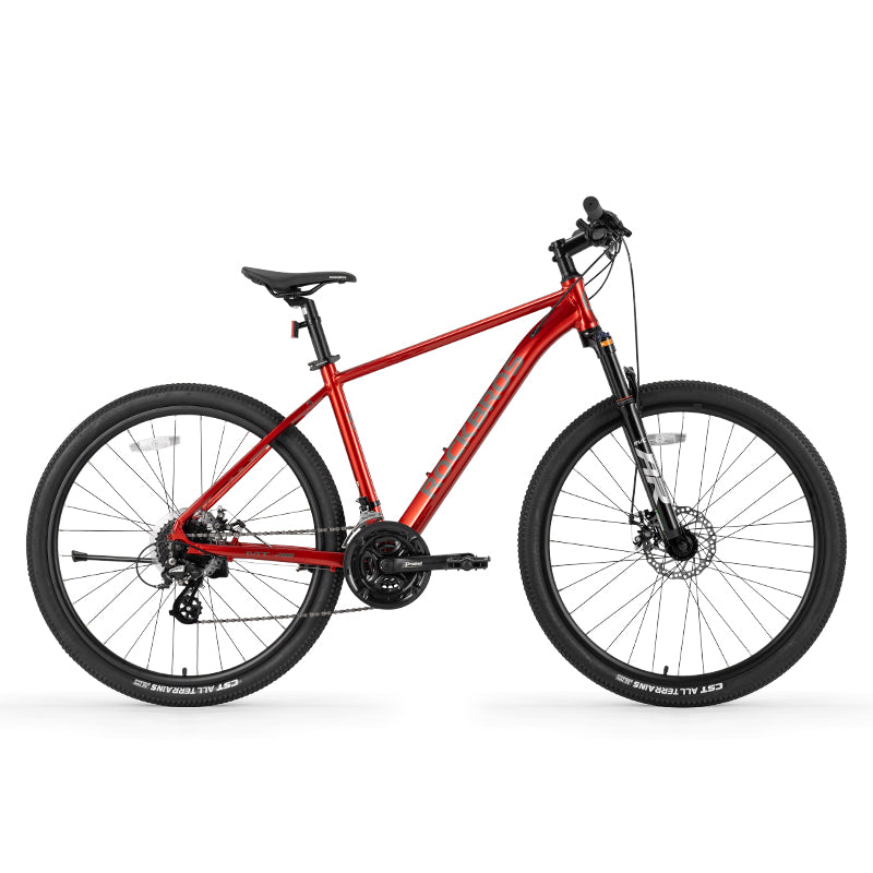 MT200 Mountain Bike