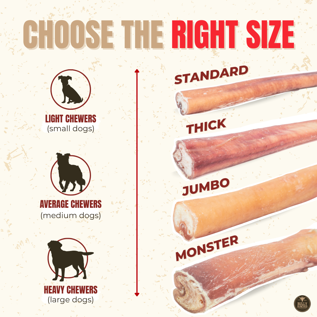 Monster Bully Stick – 12 Inch