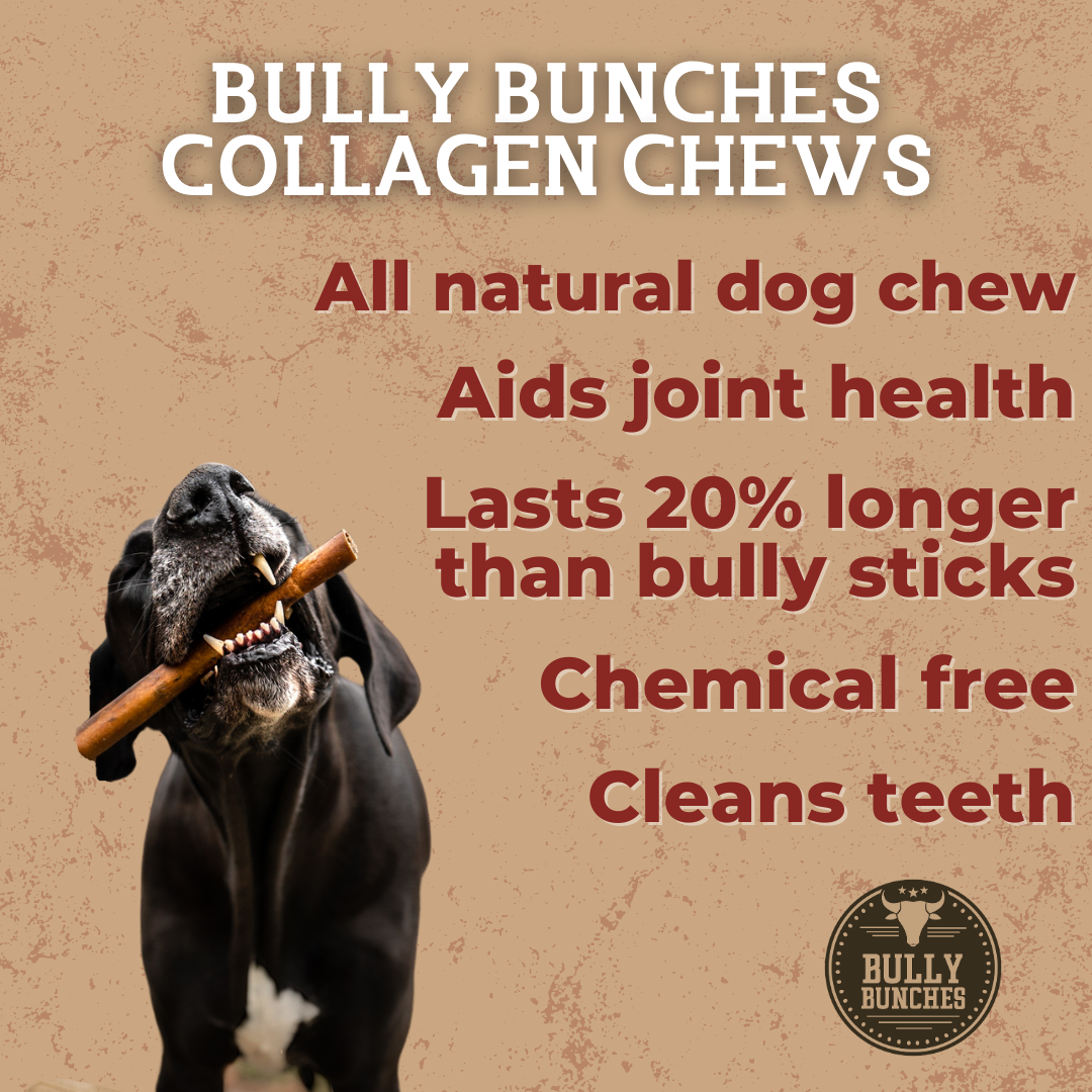 Beef Collagen Stick – 5-6 Inch