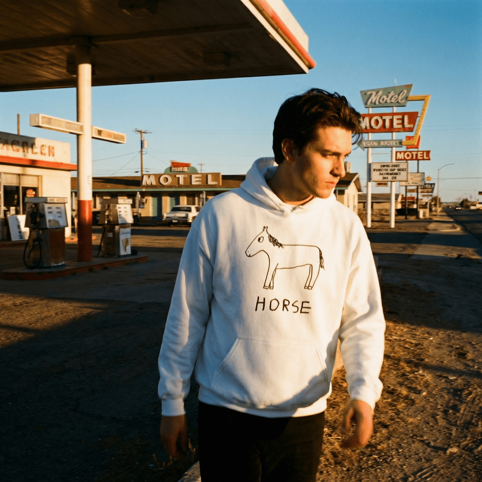 Horse Hoodie