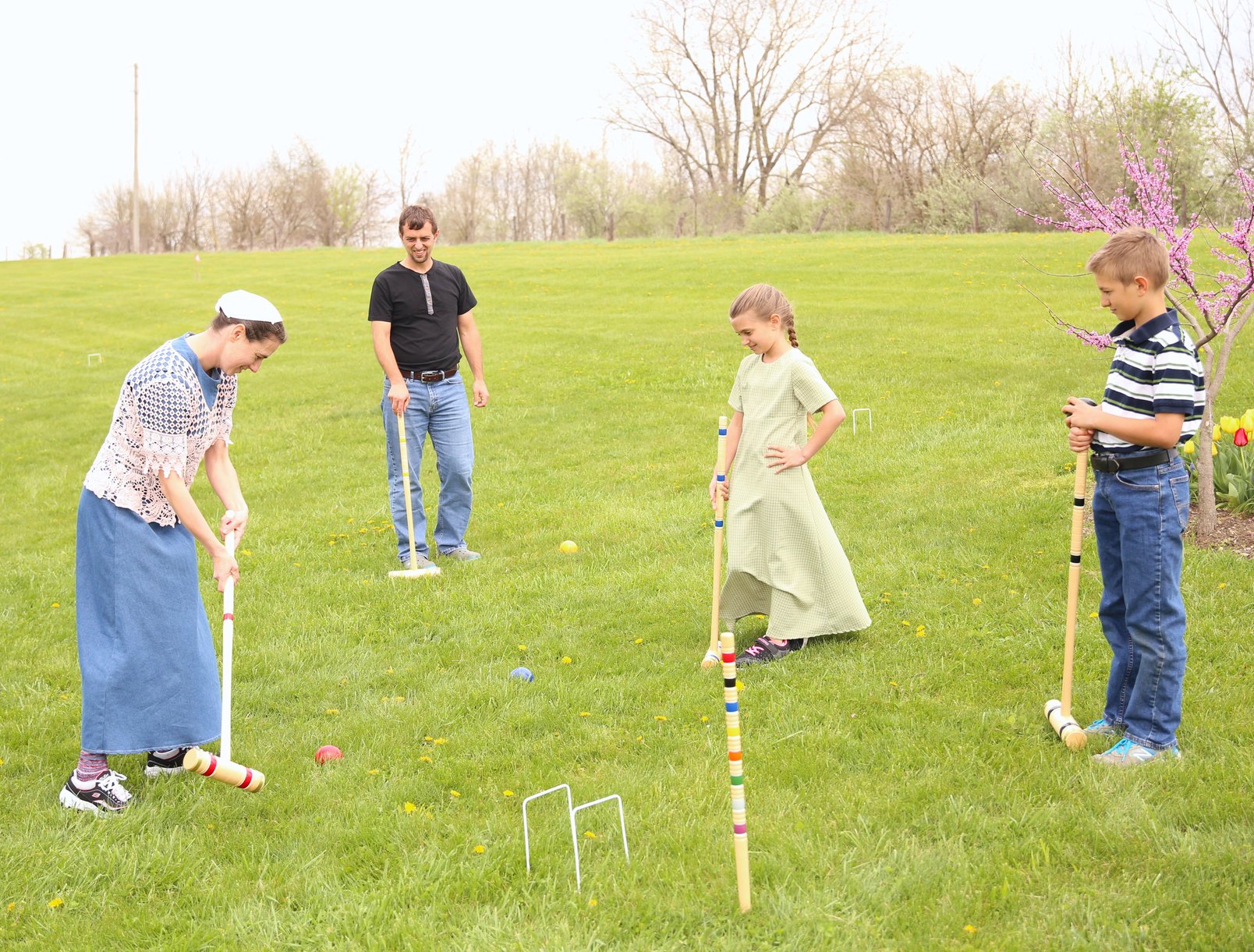 Deluxe 6-Player Croquet Set