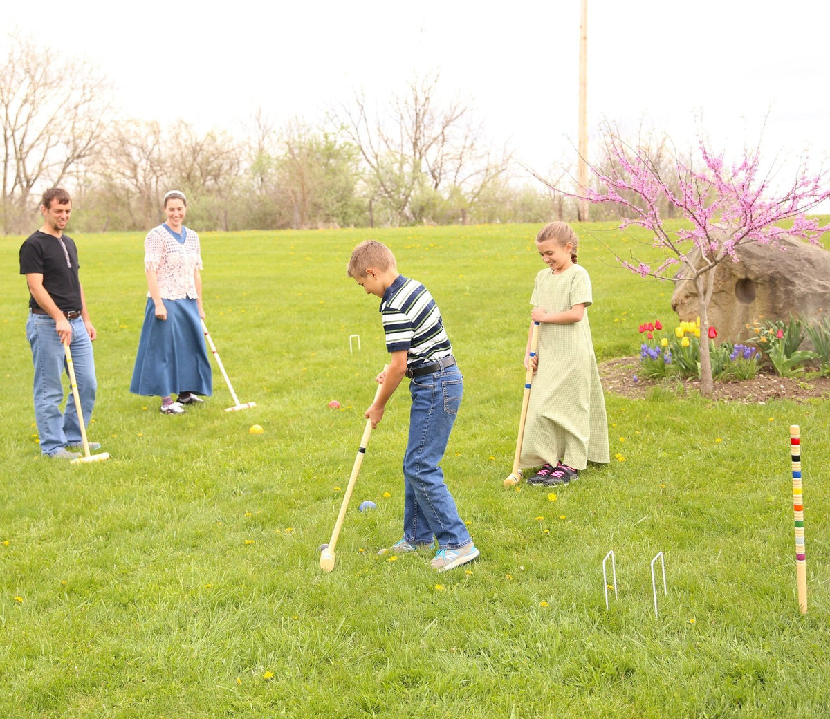Deluxe 6-Player Croquet Set