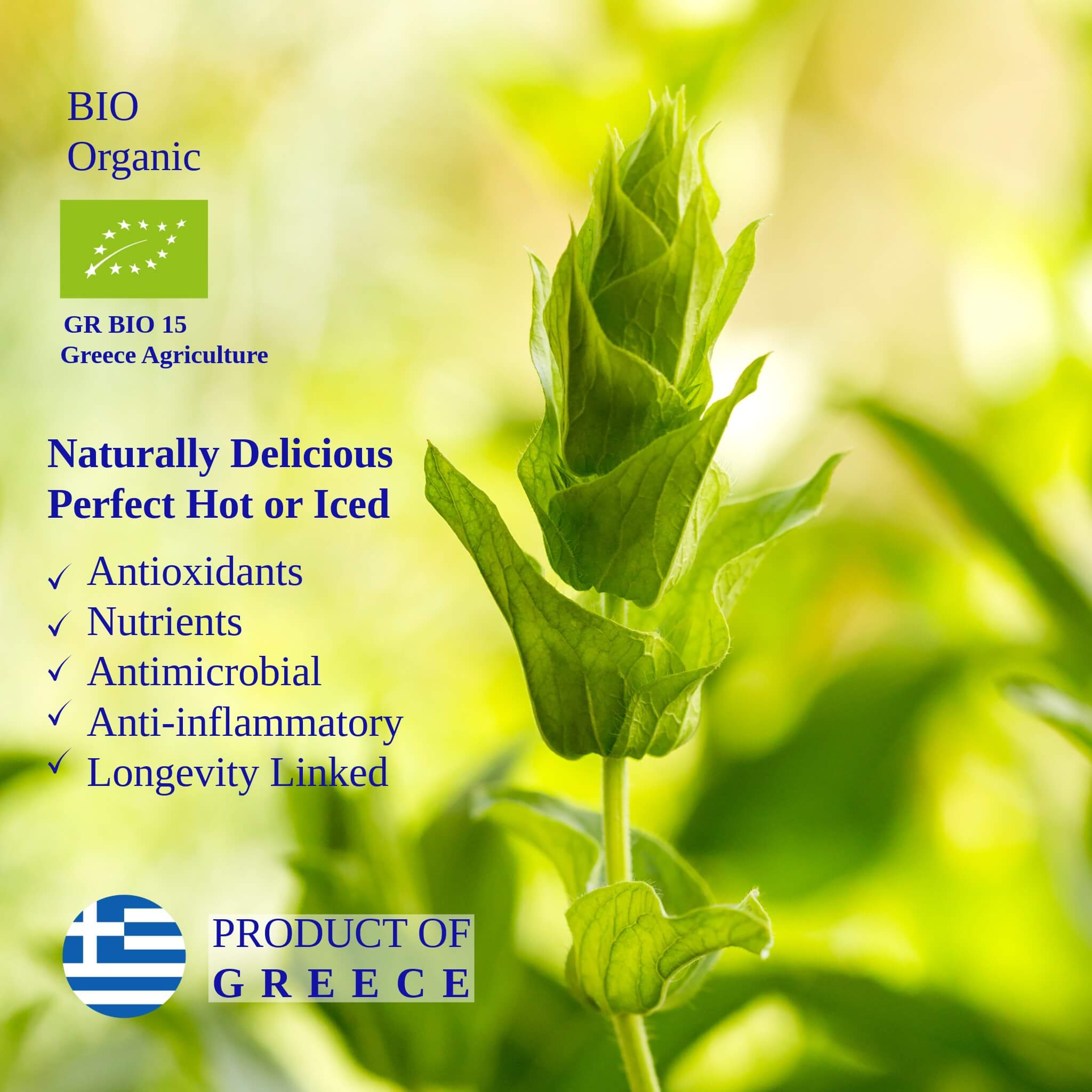 Mt. Olympus Mountain Tea