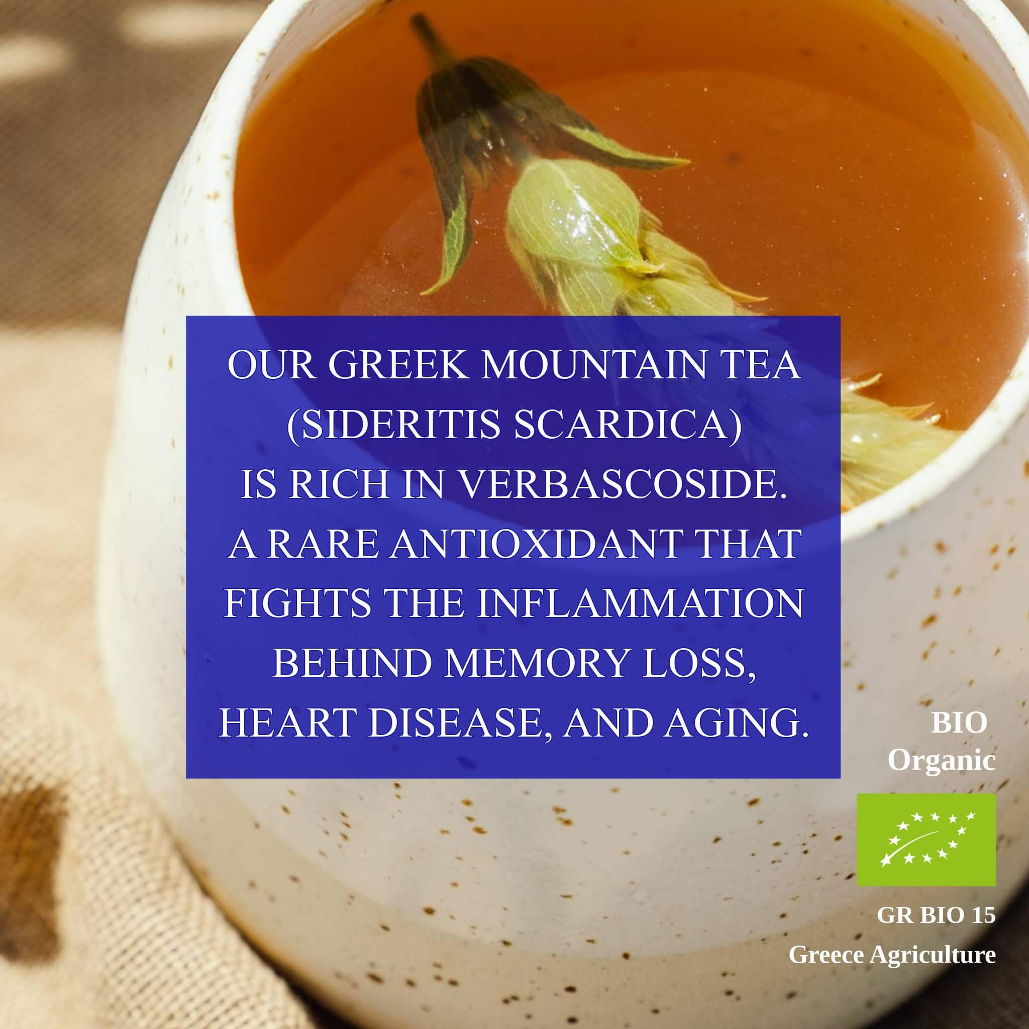 Mt. Olympus Mountain Tea