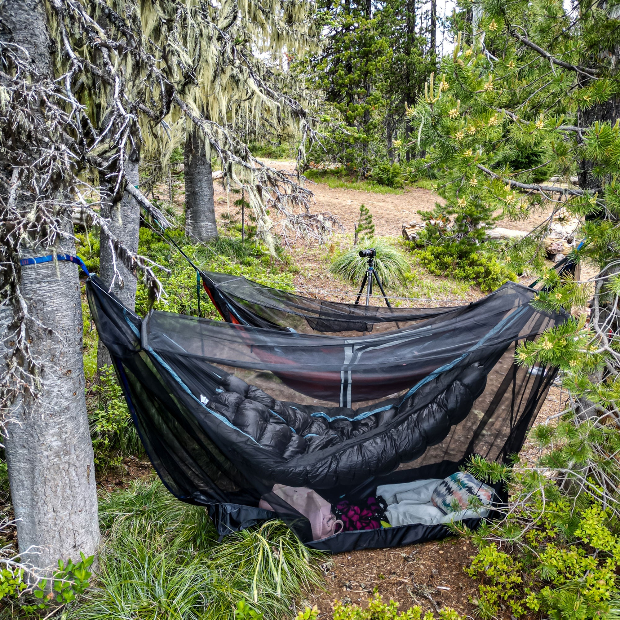 Hammock Bug Net Shelter