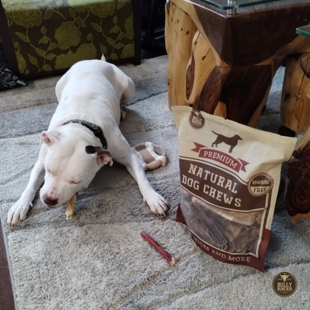 Dog Treat Trail Mix